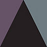 Charcoal-Argyle Purple