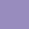 Violet-Purple Iris
