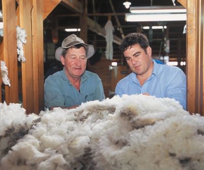 Natural Fibers are the foundation for our sustainable wool